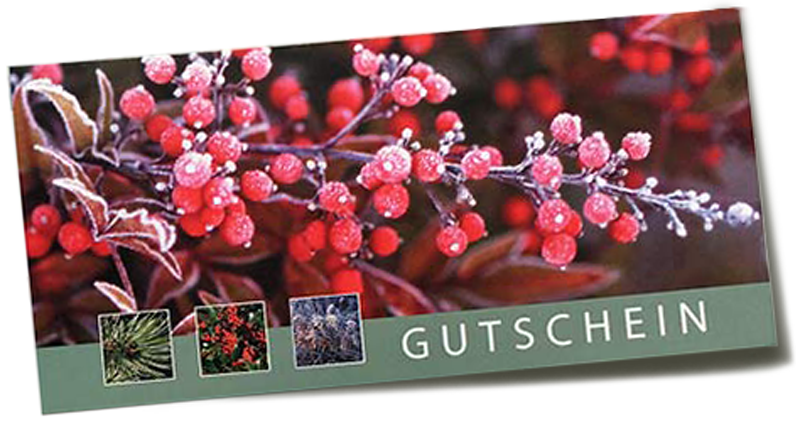 marken-baumschule-wegmann-weihnachts-geschenk-natur-gutschein-pflanzen-schenken